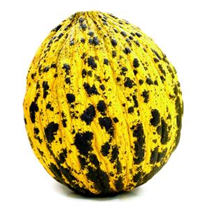 Kavun (Ortalama 3 Kg.)