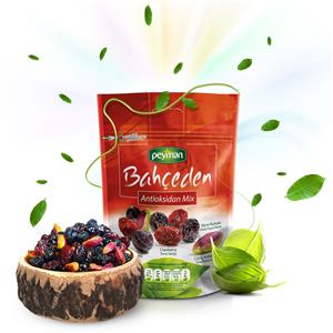 Peyman Antioksidan Mix (70 gr.)
