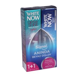 Signal White Now Ice Cool Mint + Signal White Now Care Correction Whitening